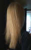 Фото-отзыв №2 Эстель Серебристый шампунь для холодных оттенков блонд, 250 мл (Estel Professional, Prima blonde), автор Виолетта