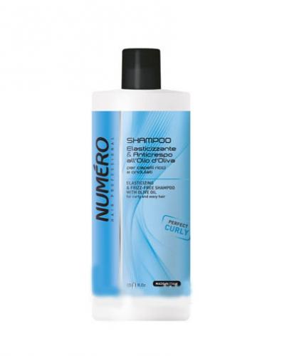 Брелил Профессионал Шампунь с оливковым маслом для вьющихся и волнистых волос 1000 мл (Brelil Professional, Numero, Elasticizing & frizz-free shampoo)