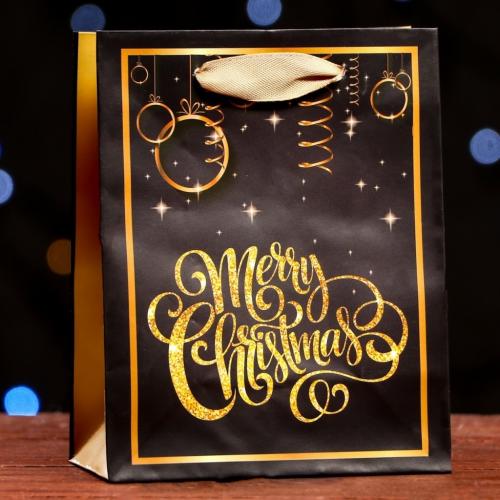 Пакет ламинированный Merry Christmas, 11,5 х 14,5 х 6 см (Подарочная упаковка, Пакеты), фото-2