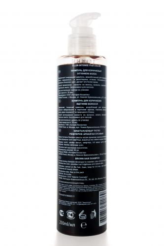 Оллин Шампунь для коричневых оттенков волос Brown hair shampoo, 250 мл (Ollin Professional, Окрашивание волос, Intense Profi Color), фото-3