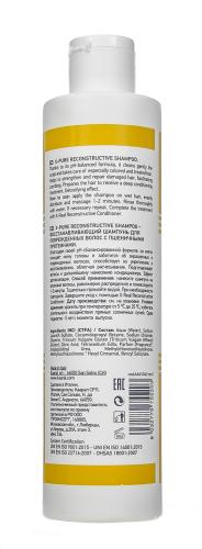 Каарал Восстанавливающий шампунь для поврежденных волос с пшеничными протеинами X-Pure Reconstructive Shampoo, 250 мл (Kaaral, AAA, X-Form), фото-3