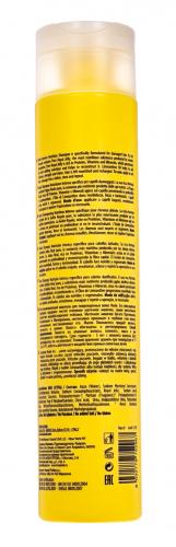 Каарал Восстанавливающий шампунь для поврежденных волос Intense Nutrition Shampoo, 300 мл (Kaaral, Purify, Reale), фото-3