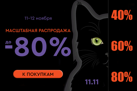 Распродажа! Скидки до -80%! 11.11.-12.11.2024.