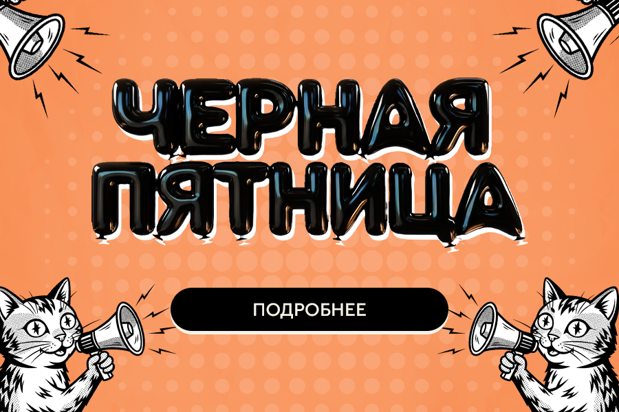 Чёрная пятница 2025