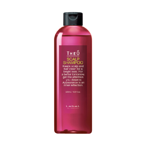 Lebel Многофункциональный шампунь для мужчин Scalp Shampoo, 320 мл (Lebel, THEO)