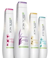 Matrix Biolage Scalpsync