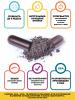Eyebrow Tint Dark Brown Краска-хна в капсулах для бровей темно-коричневая, 4 капсулы