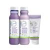 Набор Biolage R.A.W. Color care для окрашенных волос (Шампунь, 325 мл + Кондиционер, 325 мл + Праймер, 125 мл)