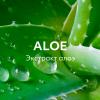 Увлажняющая маска для лица Aloe, 10 мл