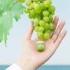 Себорегулирующий крем с зеленым виноградом, 10 г