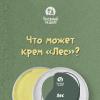 Заживляющий крем &quot;Лес&quot;, 50 мл