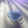 Обесцвечивающий порошок синий классический Classic Blue Bleaching Powder, 500 г