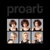Финишный спрей-лак экстремальной фиксации для волос proArt 6.3, 100 мл