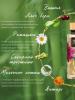 Парфюмированный спрей для тела Deep Romance, 260 мл