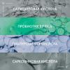 Корректирующий флюид двойного действия для проблемной кожи Phytosolution, 50 мл