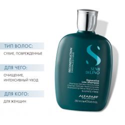 Шампунь для поврежденных волос Reparative Low Shampoo, 250 мл