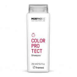 Шампунь для окрашенных волос Color Protect Shampoo, 250 мл