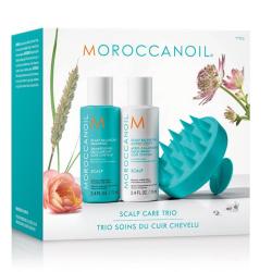 Набор Scalp Discovery Kit