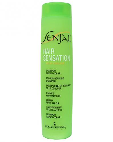 Восстанавливающий шампунь для окрашенных волос Senjal Shampoo Ravviv Color 300 мл (SENJAL)