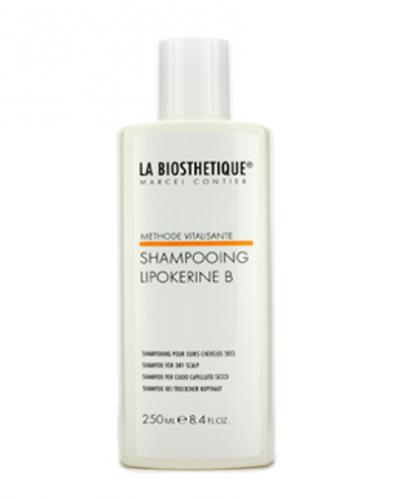 Vitalisante Lipokerine B Shampoo For Dry Scalp - Шампунь для сухой кожи головы 250 мл (Уход за волосами и кожей головы, Methode Vitalisante)