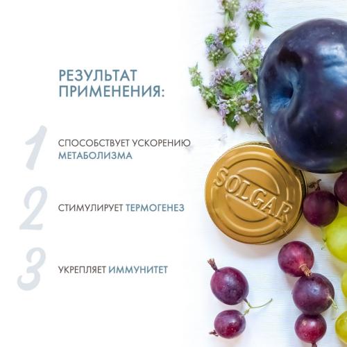 Солгар Экстракт листьев зеленого чая, 60 капсул (Solgar, Растения), фото-3