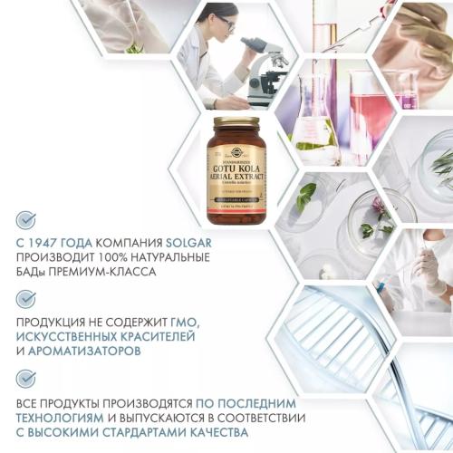 Солгар Экстракт Готу Кола 424 мг, 100 капсул (Solgar, Растения), фото-5
