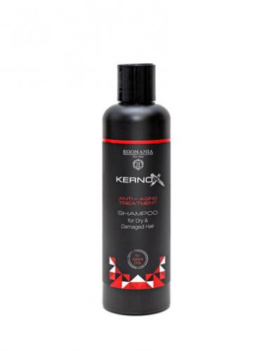 Шампунь для сухих и поврежденных волос 250 мл  (Kernox, Healthy)