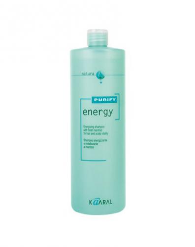 Интенсивный энергетический шампунь с ментолом Daily Shampoo, 1000 мл