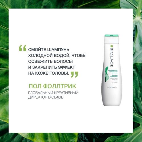 Матрикс Шампунь против перхоти Biolage Scalpsync, 250 мл х 2 шт (Matrix, Biolage, Scalpsync), фото-5