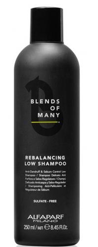 Алфапарф Милано Деликатный балансирующий шампунь Rebalancing Low Shampoo, 250 мл (Alfaparf Milano, Man)