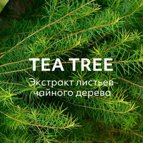 Миша Увлажняющая маска для лица Pure Source Pocket Pack Tea Tree, 10 мл (Missha, Маски, Pure Source Pocket Pack), фото-6