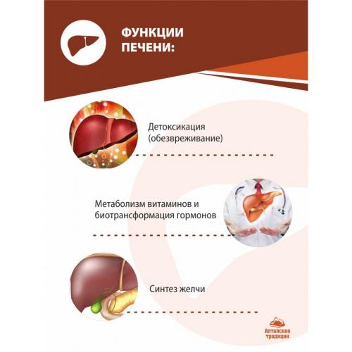 Концентрат &quot;Для печени&quot; с экстрактом расторопши и холином, 60 капсул (Концентраты на основе растительного сырья), фото-3