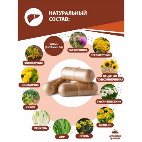 Концентрат &quot;Для печени&quot; с экстрактом расторопши и холином, 60 капсул (Алтайские традиции, Концентраты на основе растительного сырья), фото-4
