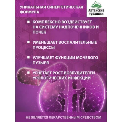 Концентрат &quot;Для почек&quot; с экстрактом клюквы и листьев брусники + 11 витаминов, 60 капсул (Алтайские традиции, Концентраты на основе растительного сырья), фото-2