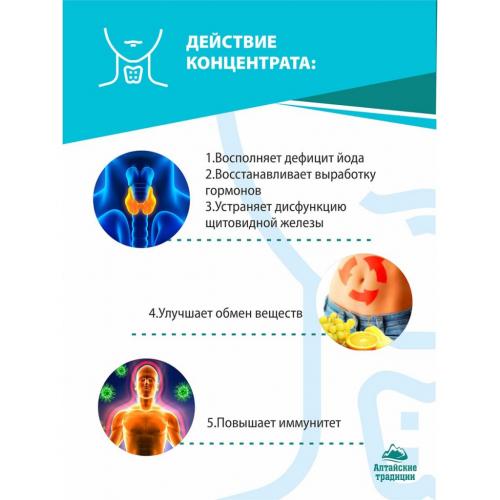 Концентрат &quot;Щитовидная железа&quot; с экстрактом лапчатки и ламинарии + 11 витаминов 6 минералов, 60 капсул (Алтайские традиции, Концентраты на основе растительного сырья), фото-3