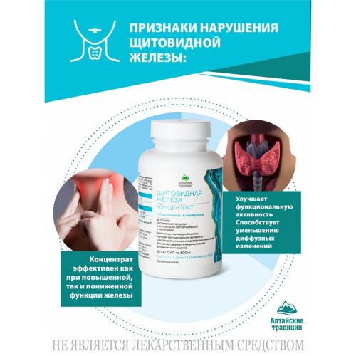 Концентрат &quot;Щитовидная железа&quot; с экстрактом лапчатки и ламинарии + 11 витаминов 6 минералов, 60 капсул (Алтайские традиции, Концентраты на основе растительного сырья), фото-5
