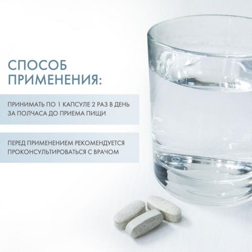 Экстракт чаги с шиповником, 60 капсул х 500 мг (Алтэя, Комплексы витаминов), фото-4