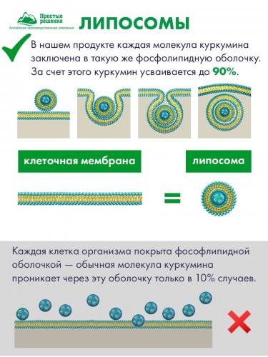 Мультивитаминный комплекс &quot;Липосомальный куркумин&quot;, 60 капсул (Алтайские традиции, Nutricare Liposomal Curcumin), фото-4