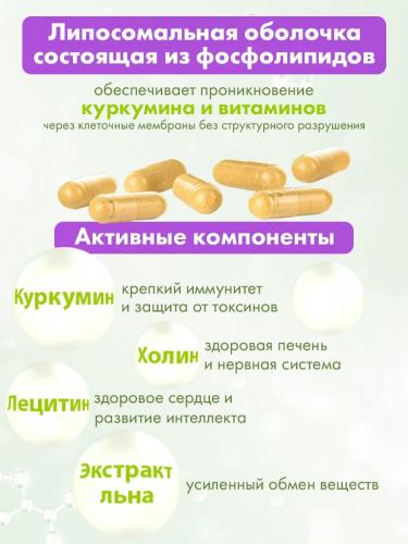Концентрат VitaMom balance complex, 60 капсул (Nutricare Liposomal Curcumin), фото-3
