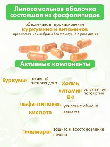 Комплекс для печени с силимарином, 60 капсул (Nutricare Liposomal Curcumin), фото-3