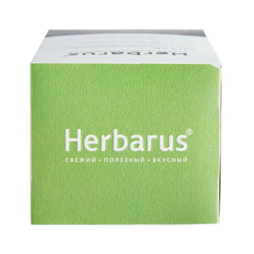 Гербарус Чай зеленый с добавками &quot;Легкий активный&quot;, 24 х 2 г (Herbarus, Чай с добавками), фото-5