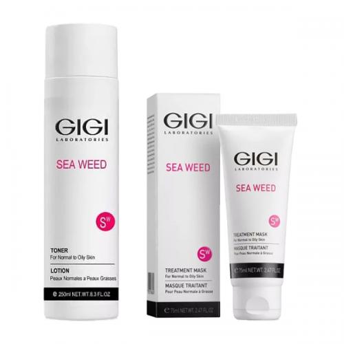 ДжиДжи Набор для ухода за кожей лица (тоник 250 мл + маска лечебная 75 мл) (GiGi, Sea Weed)