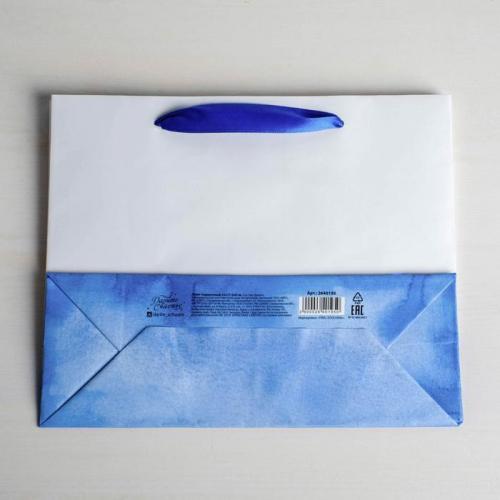 Пакет подарочный «Хорошего настроения» 22 × 17,5 × 8 см (Подарочная упаковка, Пакеты), фото-4