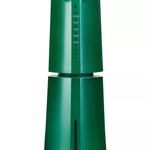Ревилайн Портативный ирригатор RL 610  Special Color Edition Green Dragon (Revyline, Ирригаторы), фото-8