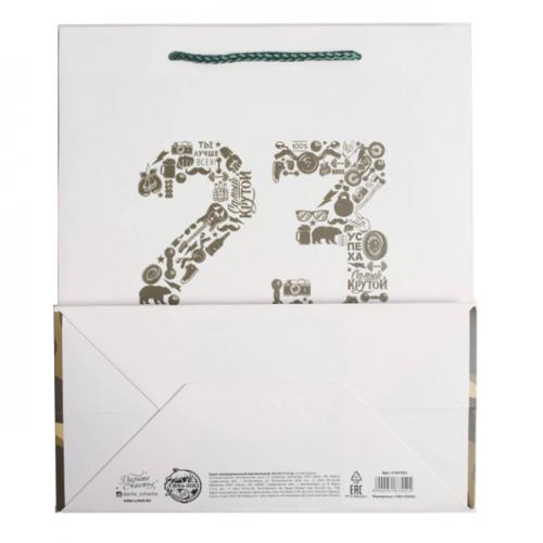 Пакет ламинированный вертикальный «23 февраля», 23 × 27 × 11,5 см  (Подарочная упаковка, Пакеты), фото-4
