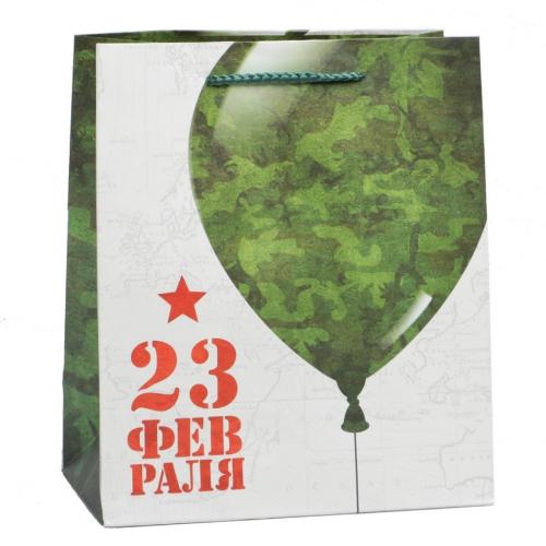 Пакет ламинированный вертикальный «23 февраля», 23 × 27 × 11,5 см (Подарочная упаковка, Пакеты)