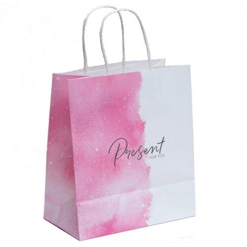Пакет подарочный крафтовый Present for You», 22 × 25 × 12 см (Подарочная упаковка, Пакеты)