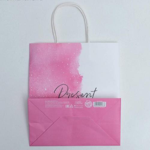 Пакет подарочный крафтовый Present for You», 22 × 25 × 12 см (Подарочная упаковка, Пакеты), фото-4