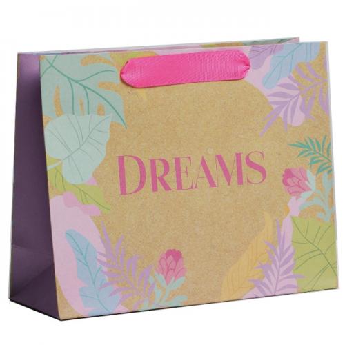 Пакет крафтовый подарочный Dreams, 22 × 17,5 × 8 см (Подарочная упаковка, Пакеты)