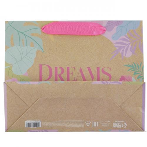 Пакет крафтовый подарочный Dreams, 22 × 17,5 × 8 см (Подарочная упаковка, Пакеты), фото-4